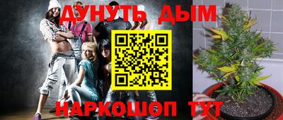 ГАЛЛЮЦИНОГЕННЫЕ ГРИБЫ Балахна